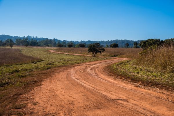 Dirt Driveway Repair in Monroe