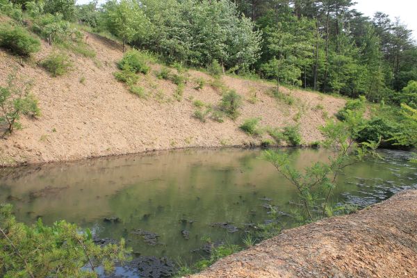 Pond Erosion Repair in Monroe