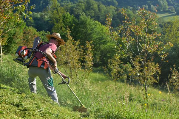 Cost of Slope Trimming in Monroe